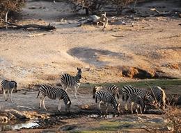 Conservation in Southern Africa Conservation in Southern Africa