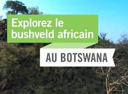 Explorez et protégez le bushveld africain au Botswana Explorez et protégez le bushveld africain au Botswana