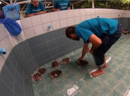 Conservation Conservation