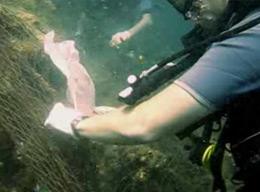 Cleaning the Coral Reef Cleaning the Coral Reef