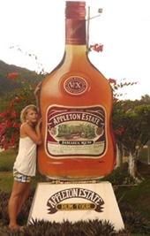 Ausflug zur Appleton Rum-Fabrik Sport Praktikum Jamaika Rum