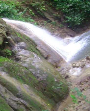 Unser Swimming Pool costa rica-Naturschutz-pool