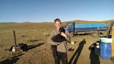 Nomaden-Projekt Mongolei, Projects Abroad Ziege im Nomaden-Projekt in der Mongolei
