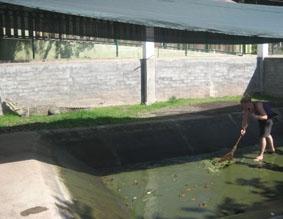 Arbeiten in der Krokodilfarm, mein erstes Krokodil mexiko-naturschutz-krokodilfarm