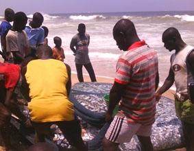 Männer beim Fische fangen ghana-sozialarbeit-fische