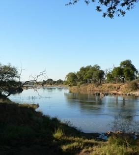 Der Limpopo River direkt am Camp südafrika-naturschutz-fluss