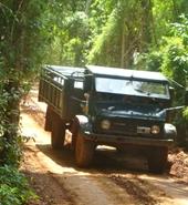 Beim Dschungel-Trip Sozialarbeit Argentinien Dschungel