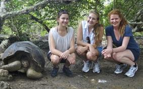Bei der „Galapaguera“ Schildkröten-Station in den Highlands ecuador-unterrichten-schildkrote
