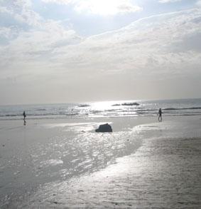 Strand Tamarindo an der Pazifikküstew costa-rica-naturschutz-strand