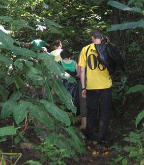 Typisches Bild der täglichen Arbeit im Wald costa-rica-naturschutz-wald