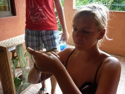 Natur und Tierwelt kann man hier hautnah erleben costarica-sozialarbeit-freiwillige