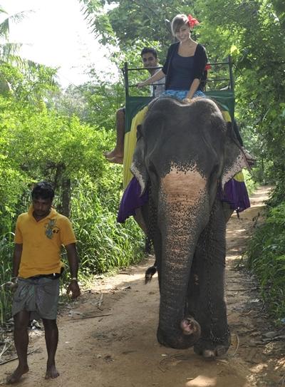 Safari auf Elefantenrücken sri-lanka-medizin-freiwillige