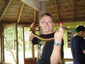 Rainbow boa und ich Rainbow boa und ich