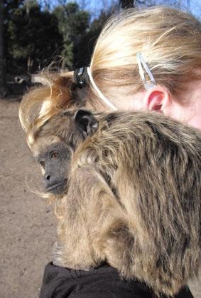 mit einem Affen auf der Schulter Argentinien Naturschutz Freiwillige