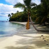 Traumstrand der Insel Leleuvia fiji-fidschi-sport-traumstrand-der-insel-leleuvia
