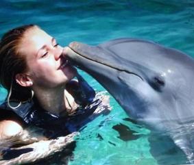 Geküsst von einem Delfin! Jamaika Sozial Delfin