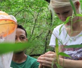 Beim Einfangen der Schmetterlinge costa-rica-naturschutz-schmetterling