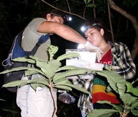 Beim Frosch-Projekt und anschließender Nacht im Wald costa-rica-naturschutz-wald
