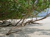 Playa Flamingo –einer der bezaubernden Strände Costa Rica-Sozialarbeit-Freizeit