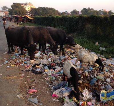 Die verschmutzte Seite von Barathpur Die verschmutzte Seite von Barathpur