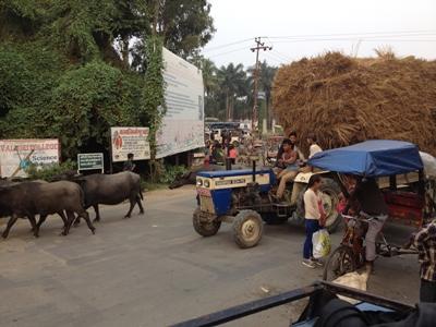 Tiere auf der Straße und Heuwagen waren bei uns keine Seltenheit (Barathpur) Tiere auf der Straße und Heuwagen waren bei uns keine Seltenheit (Barathpur)