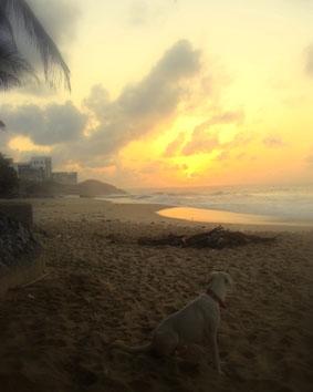 Guten Morgen, Cape Coast Castle! ghana-sport-sonne