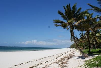 Diani Beach kenia-naturschutz-strand