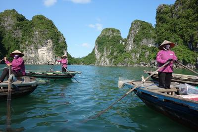 Ruderbote in Halong Bay Boote in Vietnam , Projects Abroad