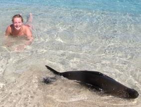 Mit Delfinen schwimmen ecuador-unterrichten-delfin
