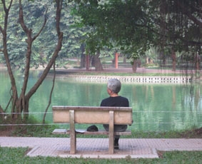 Im Botanischen Garten vietnam-sozialarbeit-park