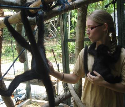 Beim Kuscheln mit den Klammeraffenbabys peru-naturschutz-freiwillige