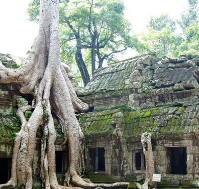 Ein Tempel in der Region Angkor kambodscha-khmer-tempel
