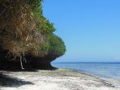 Mein Strand kenia-naturschutz-wildlife-safari-strand