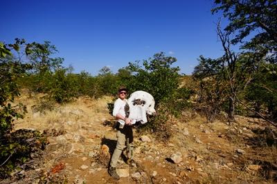Südafrika-Naturschutz Südafrika-Naturschutz