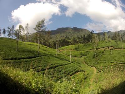 Zugfahrt durch die Berge in Sri Lanka Medizin - Praktikum in Sri Lanka Berge