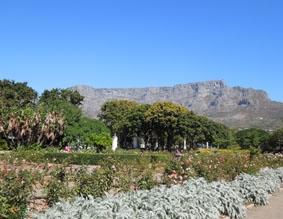 Der Company's Garden, einer meiner Lieblingsorte Kapstadts, mit Blick auf den Tafelberg suedafrika-unterrichten-park