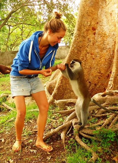 Affen-Fütterung in Awassa athiopien-sport-affe