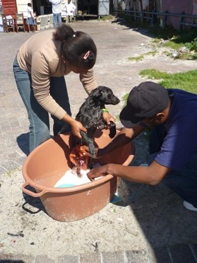 Beim Hundewaschen Beim Hundewaschen