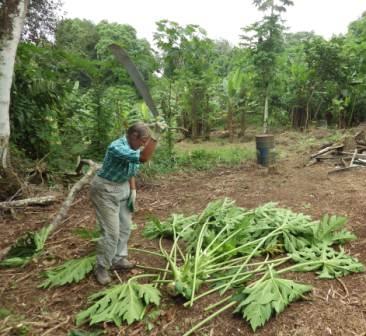 Mit der Machete im Naturschutz-Projekt naturschutz-ecuador