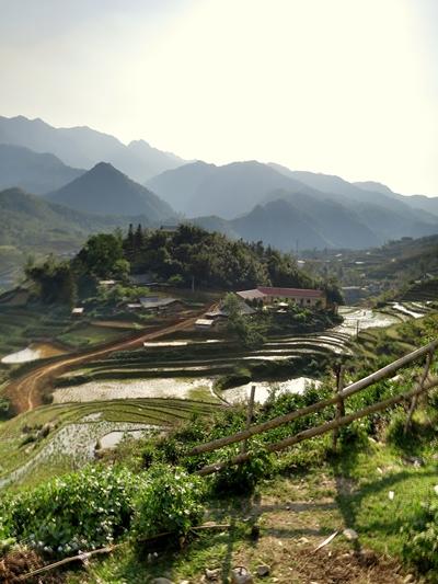 Ausblick über die Reisterrassen von Sapa vietnam-wirtschaftspraktikum-reisterrassen