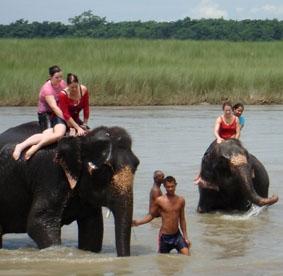 Elephant bathing im Chitwan National Park nepal-medizin-elefanten