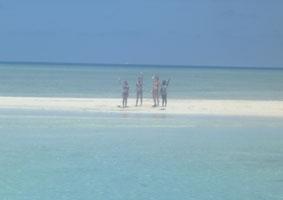 Mitten im Pazifik auf einer Sandbank fidschi unterrichten-sandbank