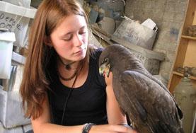 Tiermedizin