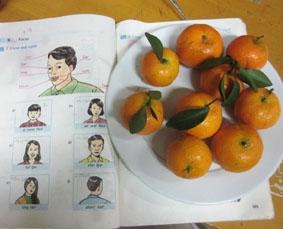 Mein Unterrichtsmaterial vietnam-unterrichten-schule