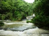 Wahnsinns-Wasserfälle jamaika-sozialarbeit-ys-falls