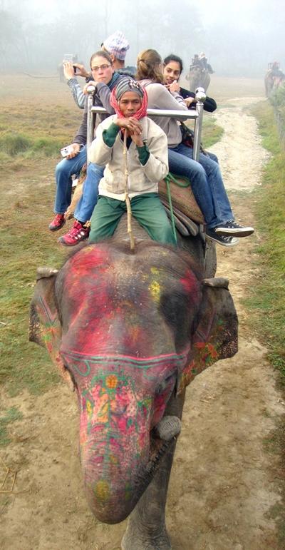 IElefantentour im Chitwan Nationalpark nepal-sozialarbeit-elefant