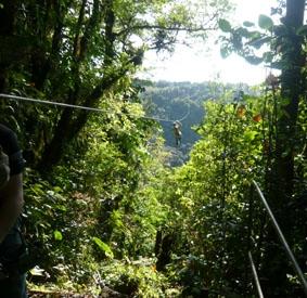 Ich beim Canopy costa-rica-unterrichten-canopy