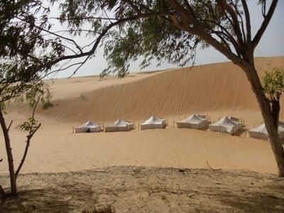 Wuestencamp senegal-menschenrechte-wuestencamp