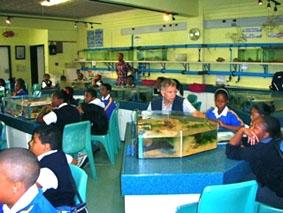 Besuch im Aquarium Südafrika Unterrichten Aquarium