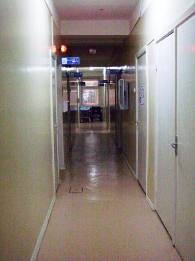 The ward The ward